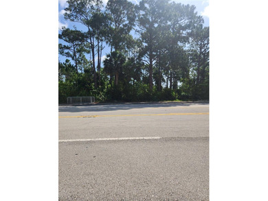 !!GOOD news - NO HOA! WHAT A GREAT DEAL -OWNER FINANCING!!!! - photo 2