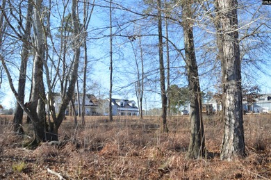 Great main channel views from this 1.1 acre waterfront lot SOLD - photo 11