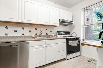 Expansive 1 bedroom with a great layout and potential of a JR4 - photo 13