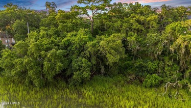 Located in the heart of downtown Beaufort, SC, 2 Creeks End Lane - photo 16