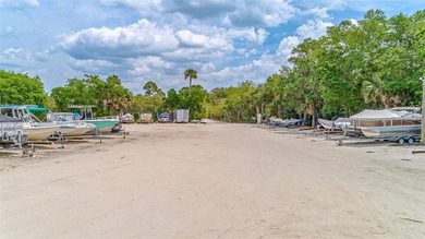 One or more photo(s) has been virtually staged. Florida living - photo 30
