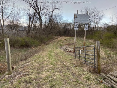 Ohio River - Jackson County Lot For Sale in Ravenswood West Virginia