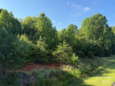 Lake Lot For Sale in Nebo, North Carolina