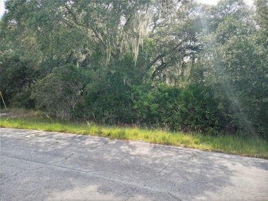 Lake Marion - Polk County Lot For Sale in Kissimmee Florida