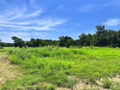 Pristine 1.09 Waterfront Lot on RC Lake! - photo 25