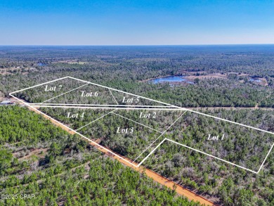 (private lake, pond, creek) Acreage Sale Pending in Fountain Florida