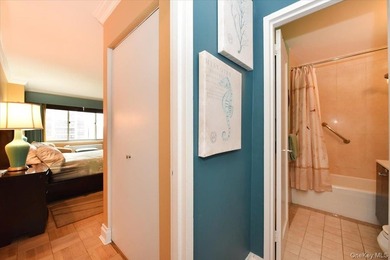 Resort-style living awaits at the luxury WaterEdge Towers! - photo 26