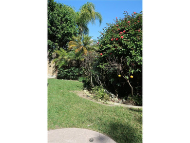 16802 Kamalii - photo 41