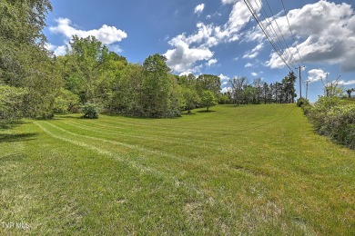 Lake Acreage For Sale in Gray, Tennessee