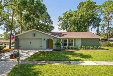 Lake Tarpon Home For Sale in Palm Harbor Florida