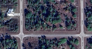 Lehigh Acres Area Lot For Sale in Lehigh Acres Florida