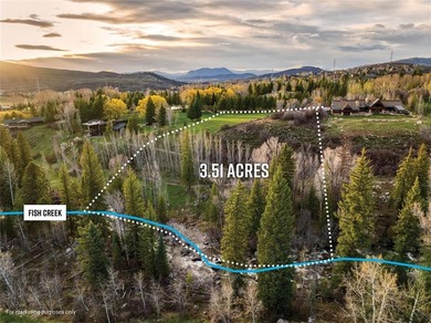 There is no comparable homesite within the city of Steamboat - photo 4