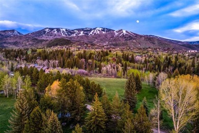 There is no comparable homesite within the city of Steamboat - photo 9