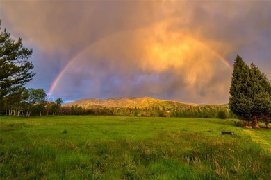 There is no comparable homesite within the city of Steamboat - photo 10
