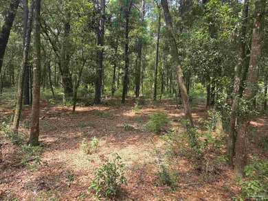 Blackwater River Lot For Sale in Milton Florida