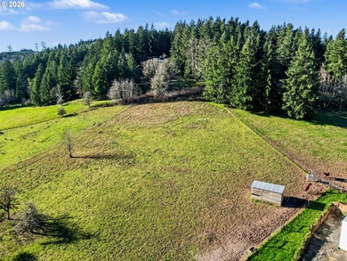 Exceptional ~36.5 acre equestrian property in a prime location - photo 6