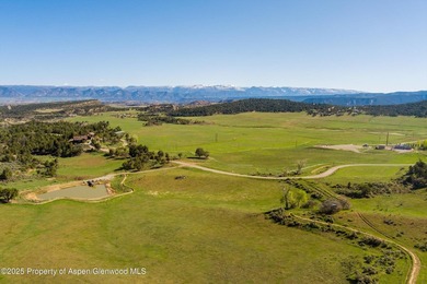 This property is amazing for hunting! Many trophy Elk over the - photo 51