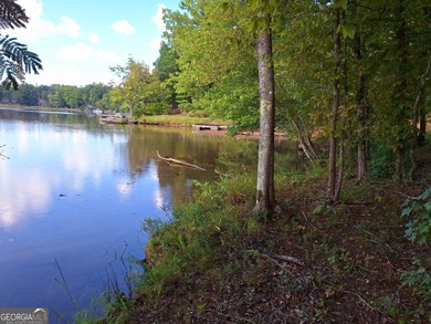 Jackson Lake Acreage For Sale in Mansfield Georgia