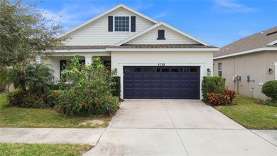 (private lake, pond, coastal) Home For Sale in Riverview Florida