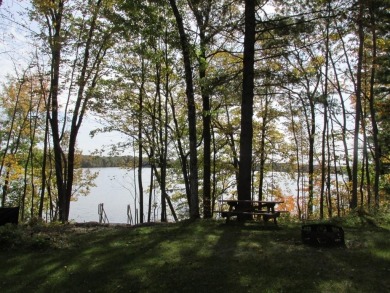 Lake Holcombe Lot For Sale in Holcombe Wisconsin