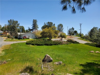 Clear Lake Lot For Sale in Kelseyville California