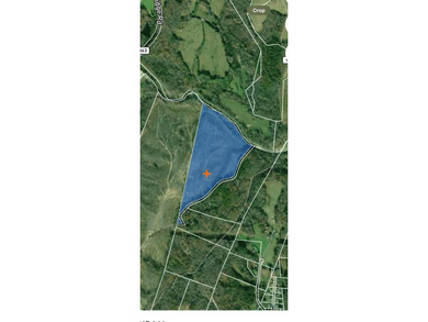 (private lake, pond, creek) Acreage For Sale in Danville Virginia