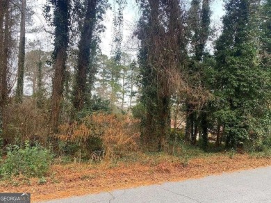 Lake Lot For Sale in Conyers, Georgia