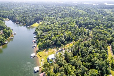 Incredible FEE SIMPLE LOT on Lake Sinclair. Welcome to 274 Cold - photo 12
