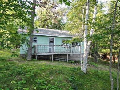 Washburn Lake Home Sale Pending in Outing Minnesota