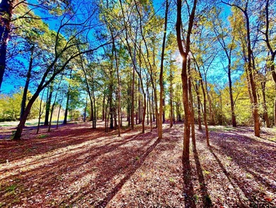 Water's Edge Ranch is a 2,150 acre gated community surrounding a - photo 11