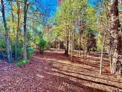 Water's Edge Ranch is a 2,150 acre gated community surrounding a - photo 12