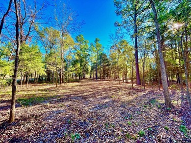Water's Edge Ranch is a 2,150 acre gated community surrounding a - photo 13