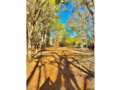 Water's Edge Ranch is a 2,150 acre gated community surrounding a - photo 16