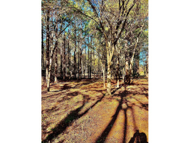 Water's Edge Ranch is a 2,150 acre gated community surrounding a - photo 17