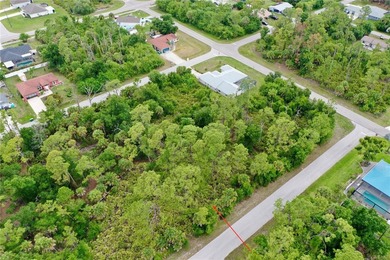 Build your ideal Florida home on this premium lot located at - photo 11