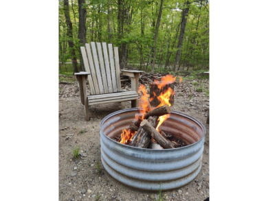 (private lake, pond, creek) Lot For Sale in Farwell Michigan