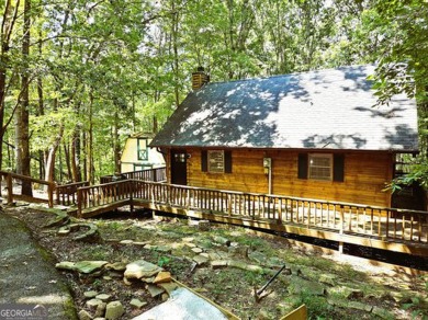 Lake Home For Sale in Cleveland, Georgia