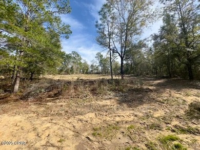 Welcome to Fisherman's Paradise! This high and dry buildable lot - photo 3