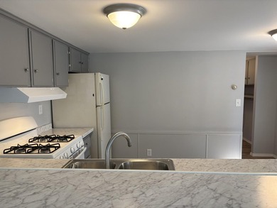 Completely renovated in Spring 2026, this move-in ready - photo 7