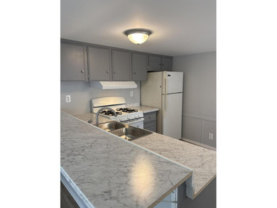 Completely renovated in Spring 2026, this move-in ready - photo 8