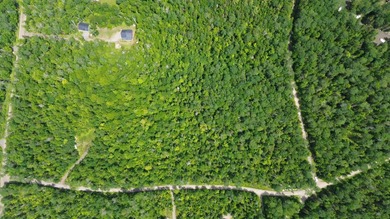 RARE OPPORUNITY BUY ONE LOT OR BUY ALL 3 FOR A FAMILY COMPOUND - photo 4