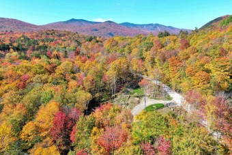Lake Acreage Off Market in Plymouth, Vermont