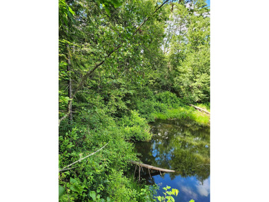 Beautiful building lot with over 200ft on the Soucook River! - photo 11