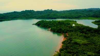 Titled 1,749 Hectare Island Land for Sale in Isla del Rey - photo 12