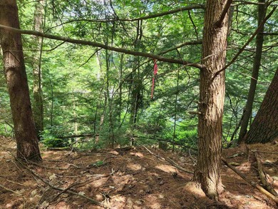 Beautiful building lot with over 200ft on the Soucook River! - photo 13
