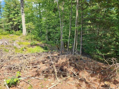 Beautiful building lot with over 200ft on the Soucook River! - photo 14