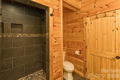 AMAZING, UP-CLOSE, 180 DEGREE VIEWS OF LAKE LURE, CHIMNEY ROCK & - photo 21