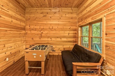 AMAZING, UP-CLOSE, 180 DEGREE VIEWS OF LAKE LURE, CHIMNEY ROCK & - photo 32