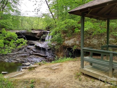 AMAZING, UP-CLOSE, 180 DEGREE VIEWS OF LAKE LURE, CHIMNEY ROCK & - photo 45