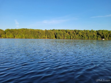 (private lake, pond, creek) Acreage For Sale in Iron River Michigan